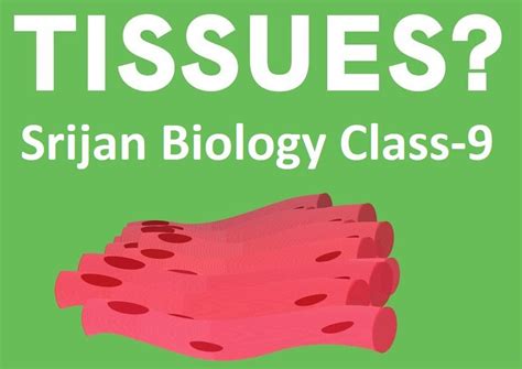 Simple Science: How to Make a Volcano with Kids