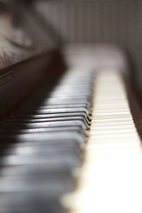 Sie bilden das grundgerüst unseres musikalischen verständnisses. Akkorde Für Klavier Zum Ausdrucken : Musik für Kinder ...
