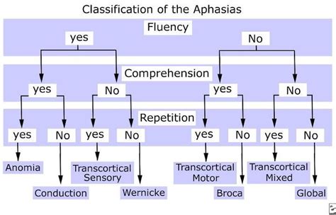 Useful Easy To Read Classification Aphasia Flowchart Ill Be