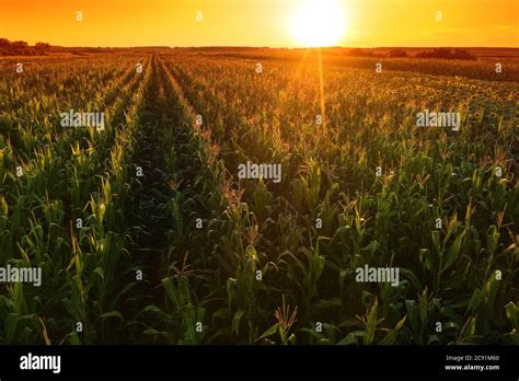 Field Crops Aerial Hi Res Stock Photography And Images Alamy