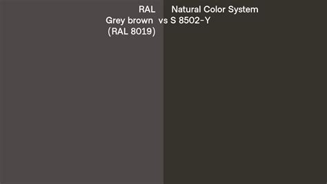 Ral Grey Brown Ral Vs Natural Color System S Y Side By Side