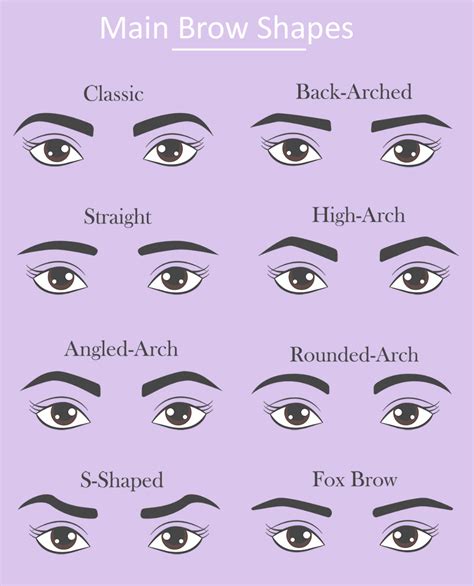 Common Eyebrow Shapes How To Find Your Perfect Brow Shape Eyebrow Shaping Eyebrows Perfect
