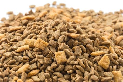 The Best Homemade Dog Food Recipes: 82 Easy DIY Meals for ...