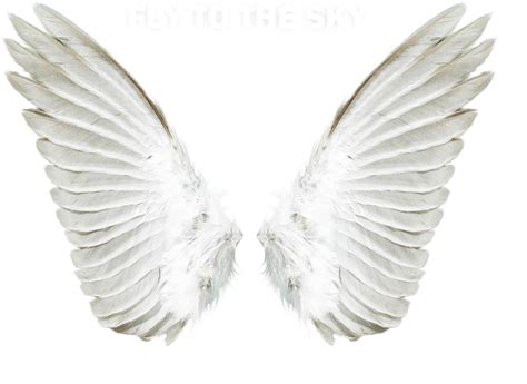 Angel Clip Art Angel Wings Png Download 24171760 Free