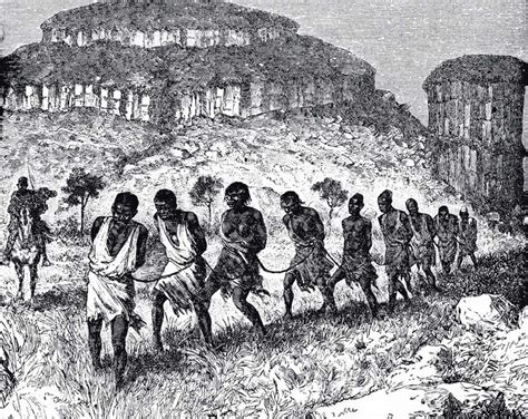 The Trans Atlantic Slave Trade Blog