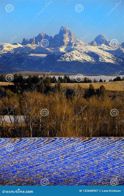 Teton Mountain Range From Idaho Side With Forest And Farm Ground Stock