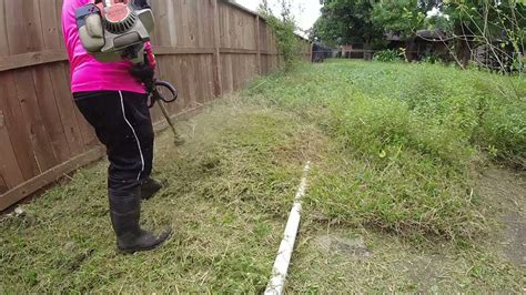 Mowing Very Tall Grass Satisfying Overgrown Clean Up Weed Eating Tall