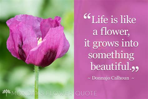 Life Is Like A Flower It Grows Into Something Beautiful Floating
