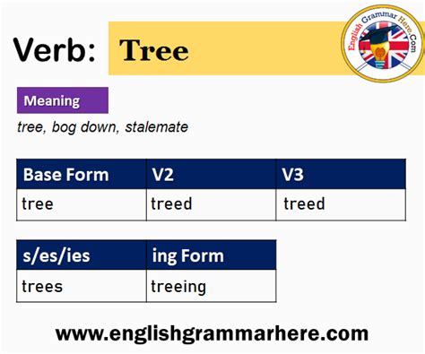 Verbs Archives Page 7 Of 147 English Grammar Here