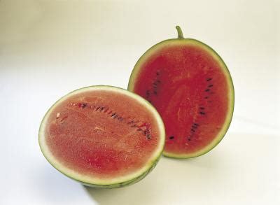 Jubilee watermelon is a popular melon that has firm, crisp and brilliantly bright red flesh. How to Grow Miniature Watermelons | Home Guides | SF Gate