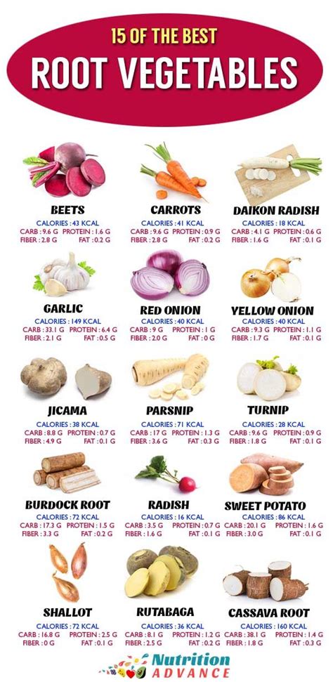 Here Are 15 Of The Best Most Popular Root Vegetable And Their