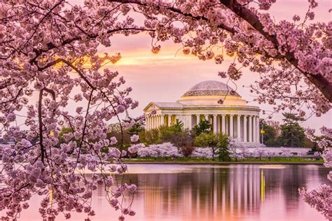 13 Beautiful Places To See The Cherry Blossoms In America — Best Life
