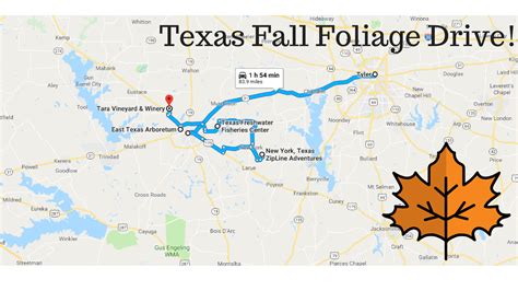 This 2 Hour Drive Through Texas Is The Best Way To See This Years Fall