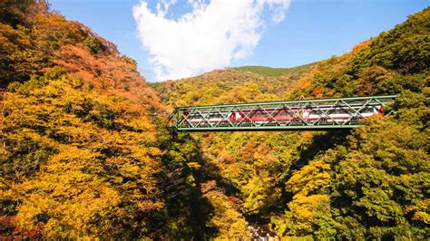 Autumn Colors In Hakone 7 Places To Admire Fall In All Its Glory