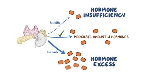 endocrine system hormone insufficiency and excess osmosis video library
