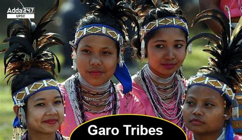 Garo Tribes Origin Population History Education And Employment