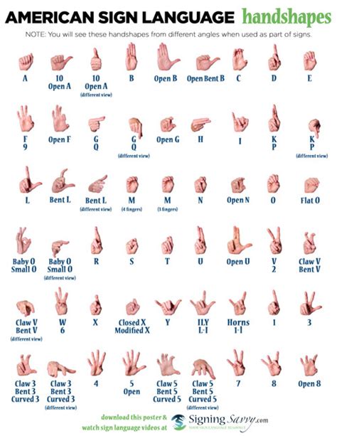 American Sign Language Alphabet Chart Printable Letter