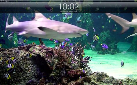 Download App Shopper Aquarium Live Lite Relaxing Screensaver Clock By