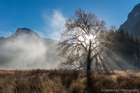 Yosemite Np Daniel Leu Photography