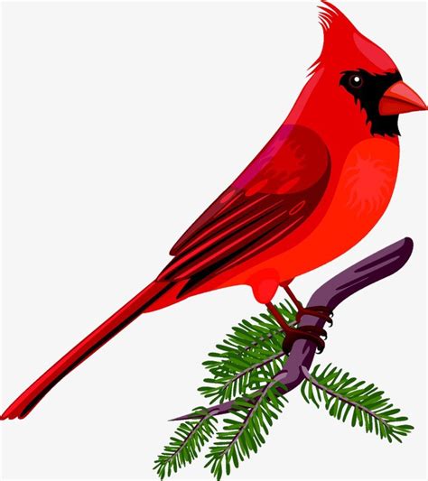 Cartoon Bird On Branches Red Cartoon Branches And Leaves Png And