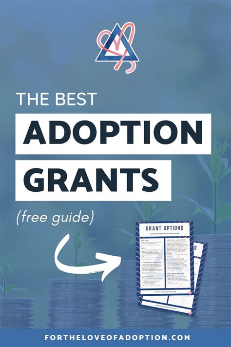 The Best Adoption Grants Guide