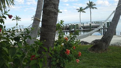 Hotel La Siesta Resort And Marina Islamorada • Holidaycheck Florida Usa