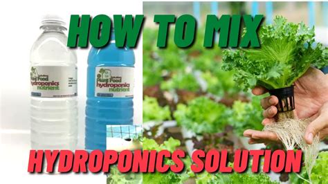 How To Mix Hydroponics Solution Youtube
