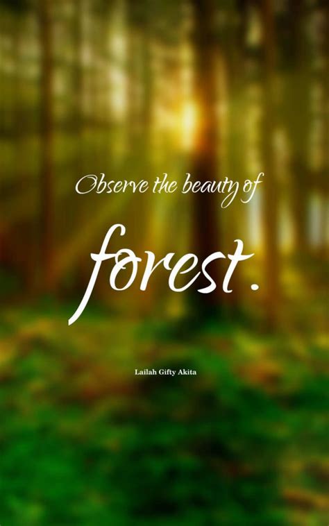 45 Inspirational Forest Quotes And Sayings