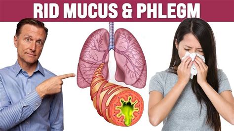 Dr Eric Berg The Best Respiratory Mucus And Phlegm Remedy For Lung