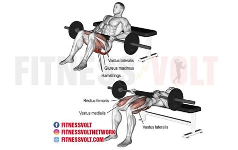The 3 Best Exercises For Each Muscle Group Fitness Volt