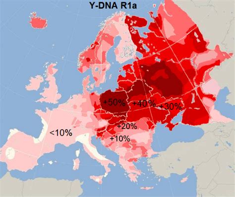 Distribution Haplogroup R1a Y Dna Гаплогруппа R1a Y ДНК — Википедия Генеалогия Карта