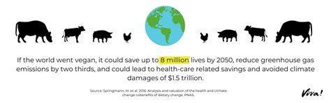 Statistics About Veganism Viva The Vegan Charity