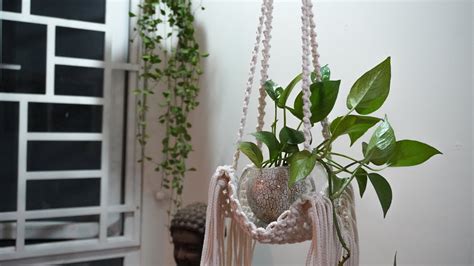Thanks so much for visiting our store, we make macrame plant hangers in various colors, sizes, styles, and materials, all of them are made of strong, durable cords, carefully dip dyed with bright colors, and we made them in. A simple macrame plant hanger #5 for macrame beginners diy ...