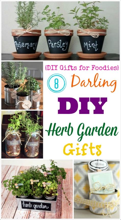 8 Darling Diy Herb Garden Ts Diy Ts For Foodies
