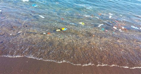 Plastikmüll Im Meer Die Wichtigsten Antworten Wwf