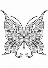 Coloring Butterflies Coloriage Simple Animals sketch template