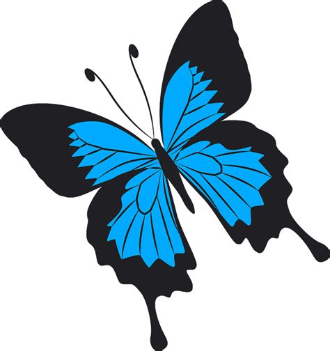 Butterfly Clipart Free Download Transparent Png Creazilla