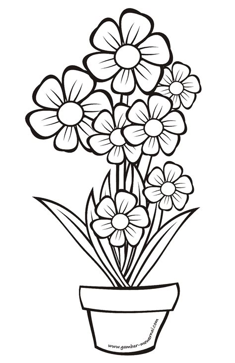 Mewarna Gambar Bunga Lili Mewarnai Bunga Dalam Pot Contoh Gambar
