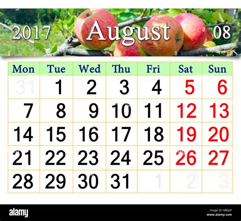 Beautiful Calendar For August 2017 Year With Ripe Apples On The Branch