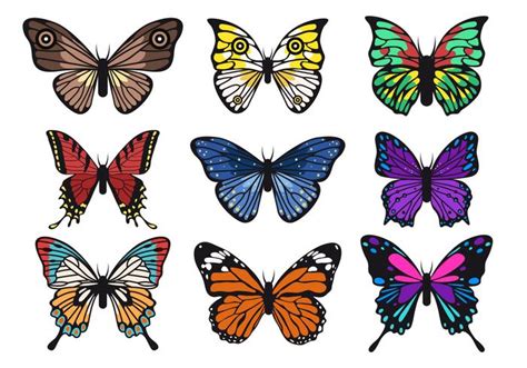 Beautiful Butterfly Vector Collections 147464 Vector Art At Vecteezy