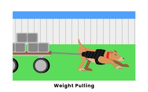 Weight Pulling