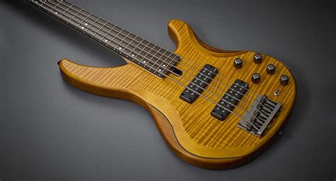 Trbx Overview Electric Basses Guitars Basses Amps Musical
