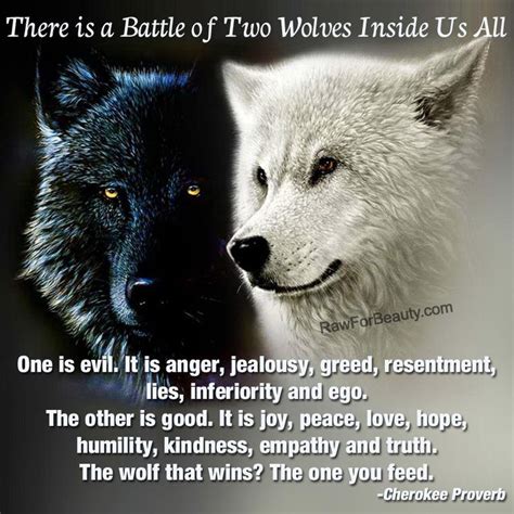 The Cult Of Anger Which Wolf Will You Feed Sarah Madison Fiction