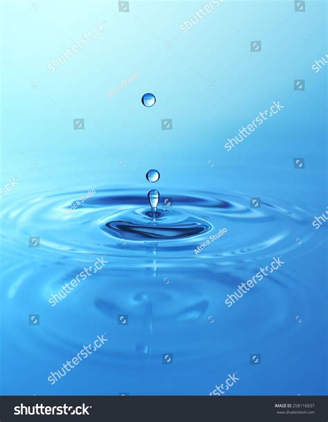 Water Drop Closeup Stock Photo 258116837 Shutterstock