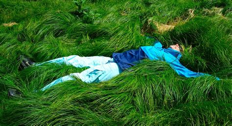 Woman Lying Grass · Free Photo On Pixabay