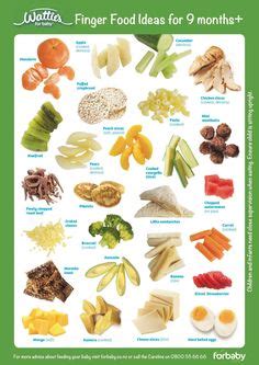 Shreds of chicken and ground bits of turkey can be picked up and eaten. Finger food ideas for 9 month old | HOMECOOKIN FOR THE ...