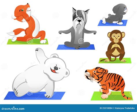 Animals Yoga Stock Vector Illustration Of Bear Animals 25318084