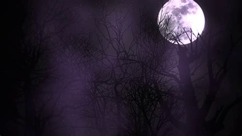 Mystical Animation Halloween Background With Stock Motion Graphics Sbv