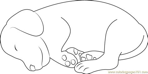 Sleeping Puppy Coloring Page Coloring Pages