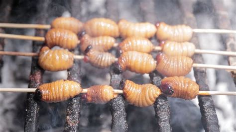 Lets Eat Grubs Eating Beetle Larva In The Amazon Youtube